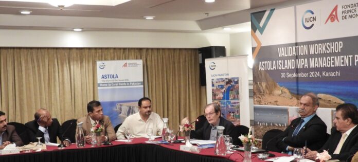 Experts demand effective planning for Astola Island navigating marine conservation