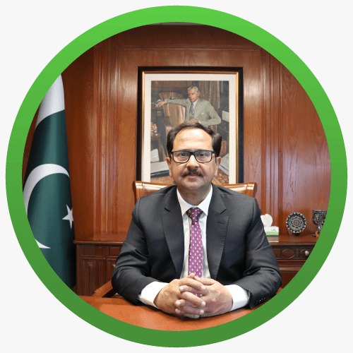 NDRMF supporting National Climate Finance Strategy to be launched at COP29: Bilal Anwar