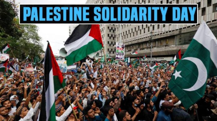 International Human Solidarity Day 2024: Pakistani brother-sister initiate ‘Stop Infanticide in Gaza’ petition