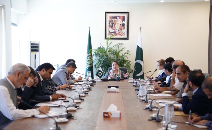 Making cities environmental-sustainable vital for achieving green economy goals:  Romina
