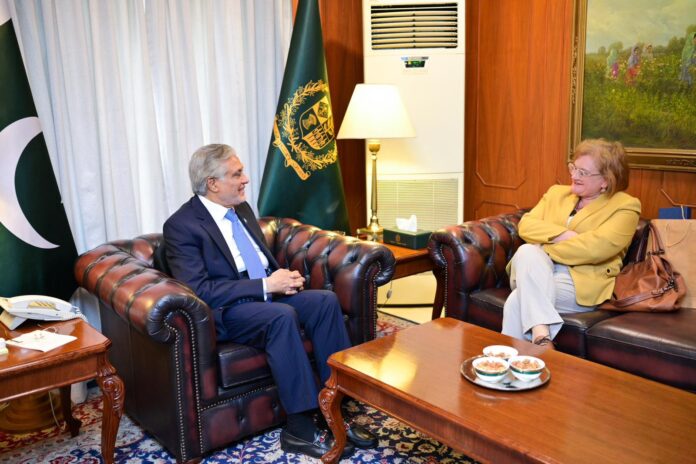Italian Amb. Armellin calls on DPM/FM Dar
