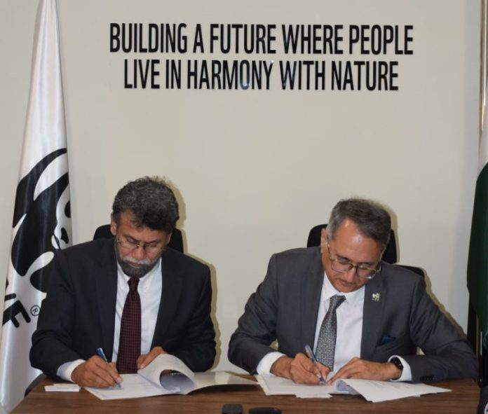 Livestock insurance scheme launched for leopard conservation in Pakistan