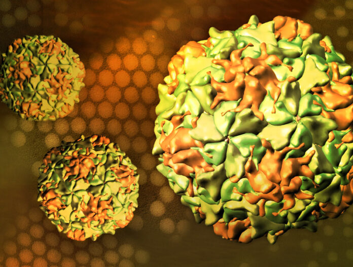 Pakistan reports 65th WPV1 case