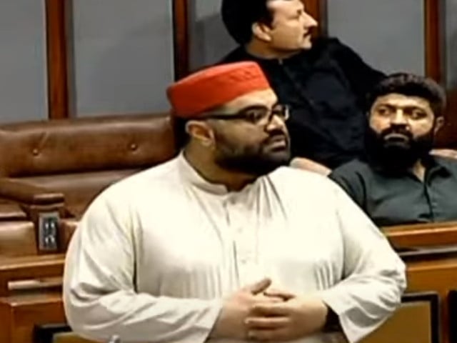 PTI brings back TTP activists in Pakistan: Aimal Wali