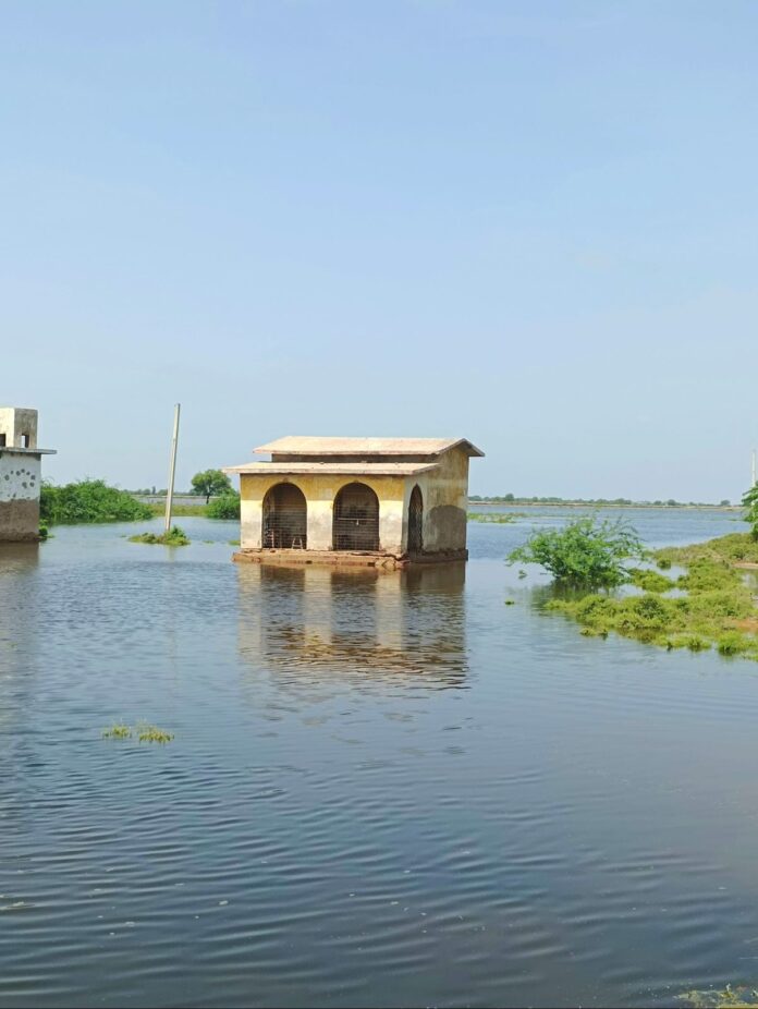 Monsoon floods damaged schools, disrupted education in Sindh: UNICEF