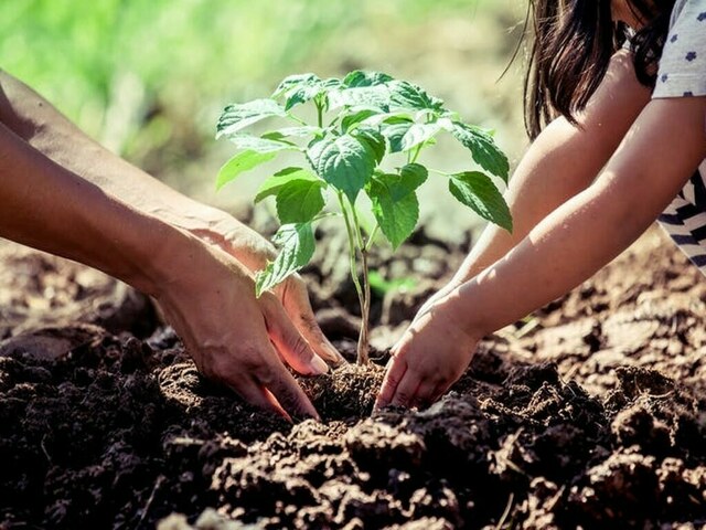 CDA to hold ‘Margalla Tree Drive Session’ on June 27