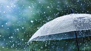 Rain likely at isolated places;humid weather to continue:PMD