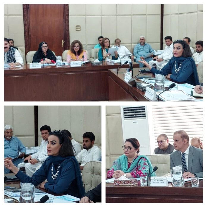 Senator Sherry Rehman, committee members criticise MoCCE’s lack of coordination
