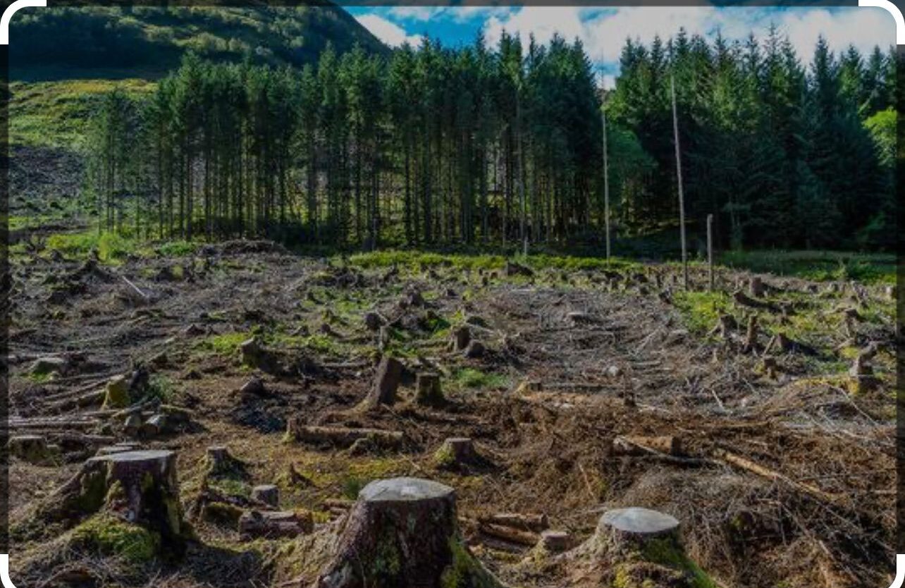 Effective climate change policymaking can lessen adverse health fallouts for vulnerable segment: experts