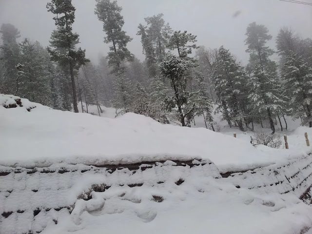 Rain, snowfall spell likely to prevail till Friday in KP