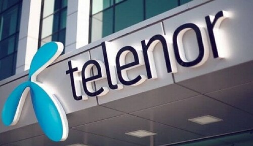 CEO Telenor calls on Minister of State for IT
