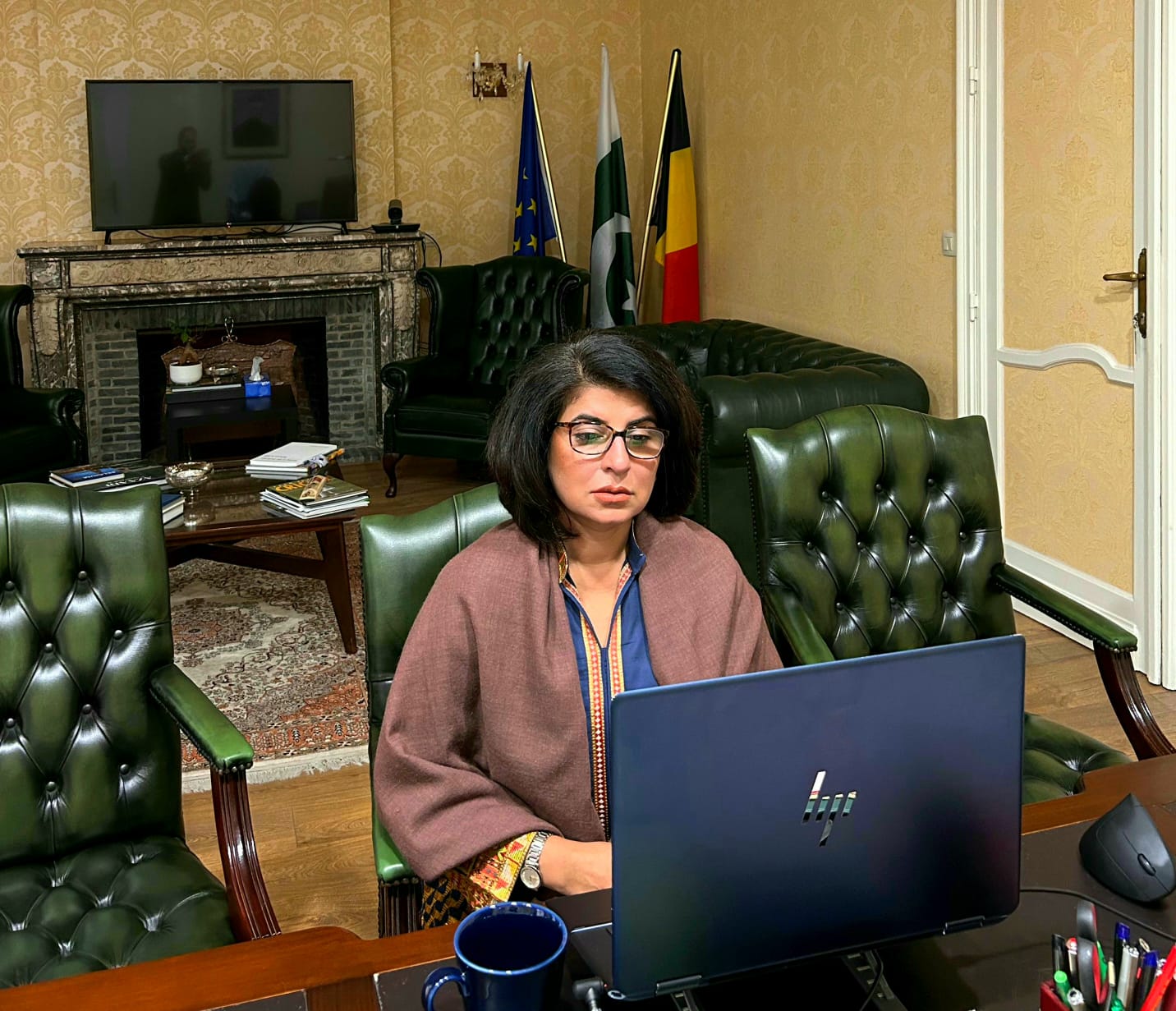 Briefing session held for Pakistani missions in EU on trade relations