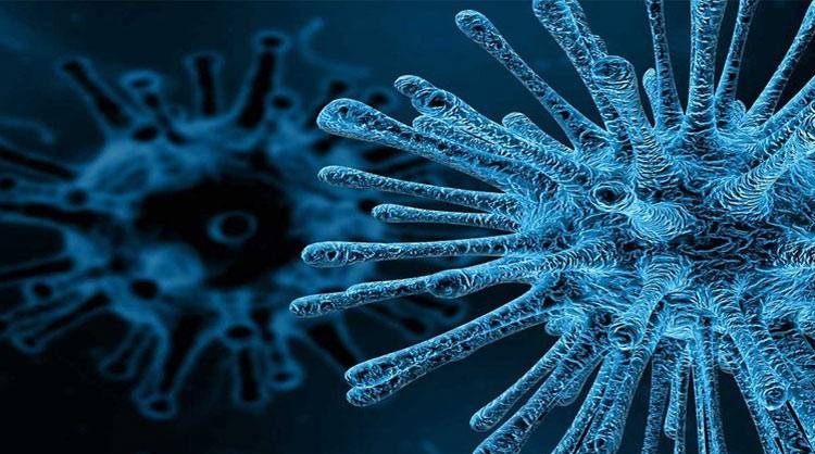 Poliovirus reported in five environmental samples