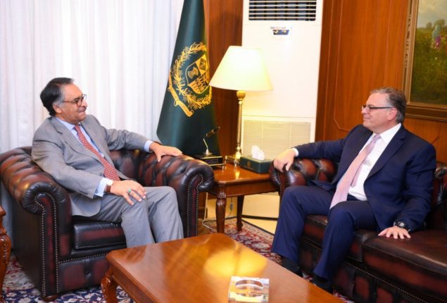FM Jilani, US envoy discuss bilateral relations