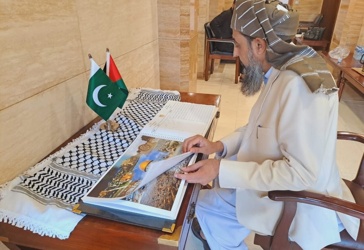 Haqqani urges action over condemnation for Palestine