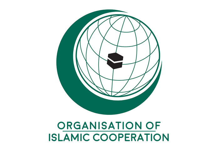 OIC envoy on Kashmir visits LoC; supports Pakistan’s stance