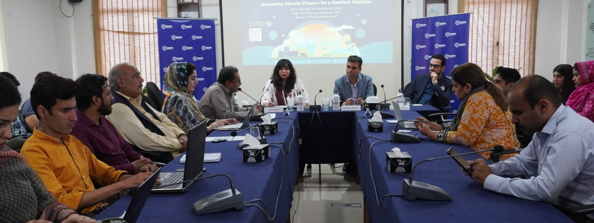 Pakistan needs to explore untapped funding options for building climate resilience: Experts